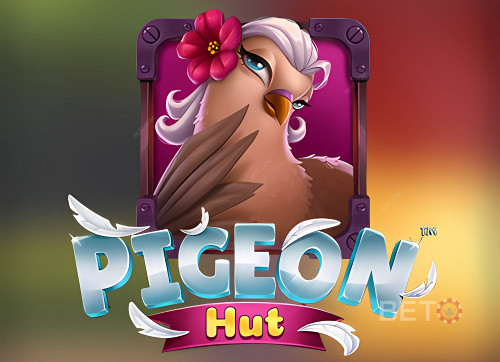 Pigeon Hut