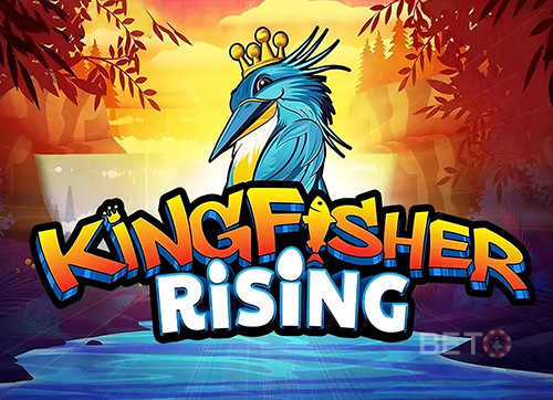Kingfisher Rising