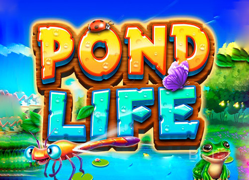 Pond Life