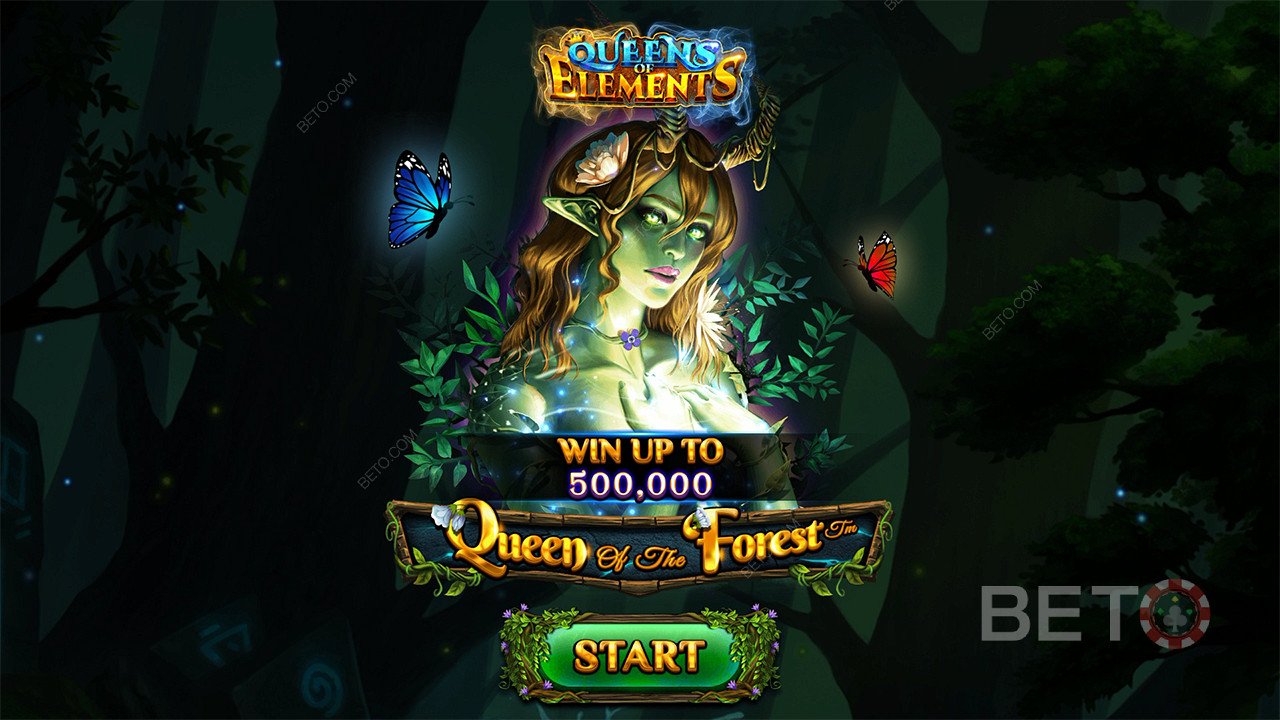 Queen of the Forest Δωρεάν Παιχνίδι