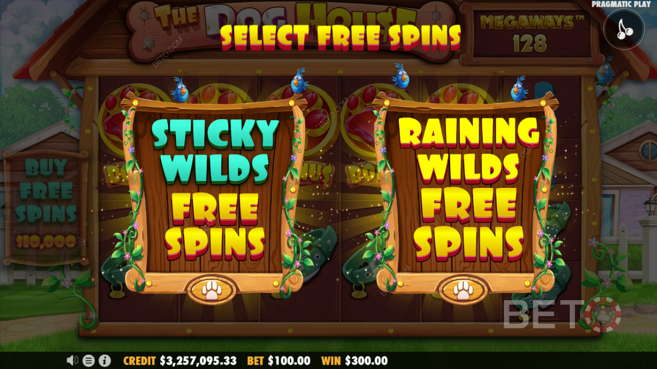 Διαθέσιμη λειτουργία δύο δωρεάν περιστροφών - Μια λειτουργία Sticky Wilds Free Spins ή Raining Wilds Free Spins