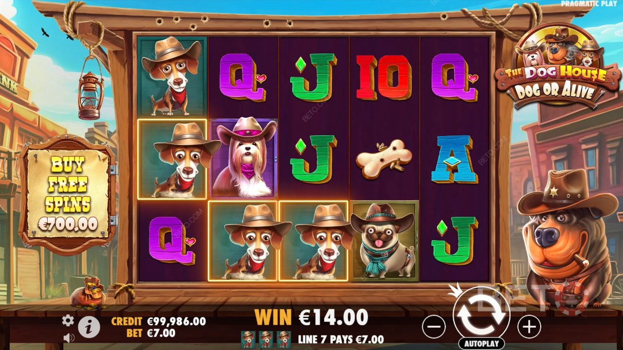 Θέμα & Σχεδιασμός: Wild West Dogs