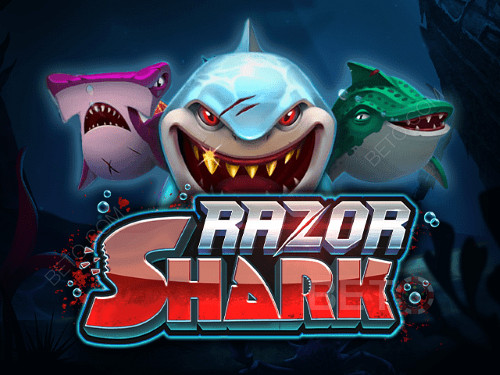 Διαδικτυακός κουλοχέρης Razor Shark