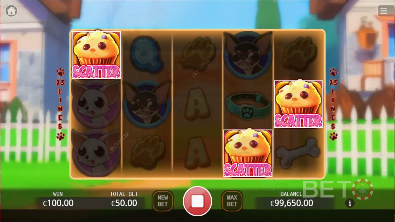 Chihuahua Party Δωρεάν Παιχνίδι
