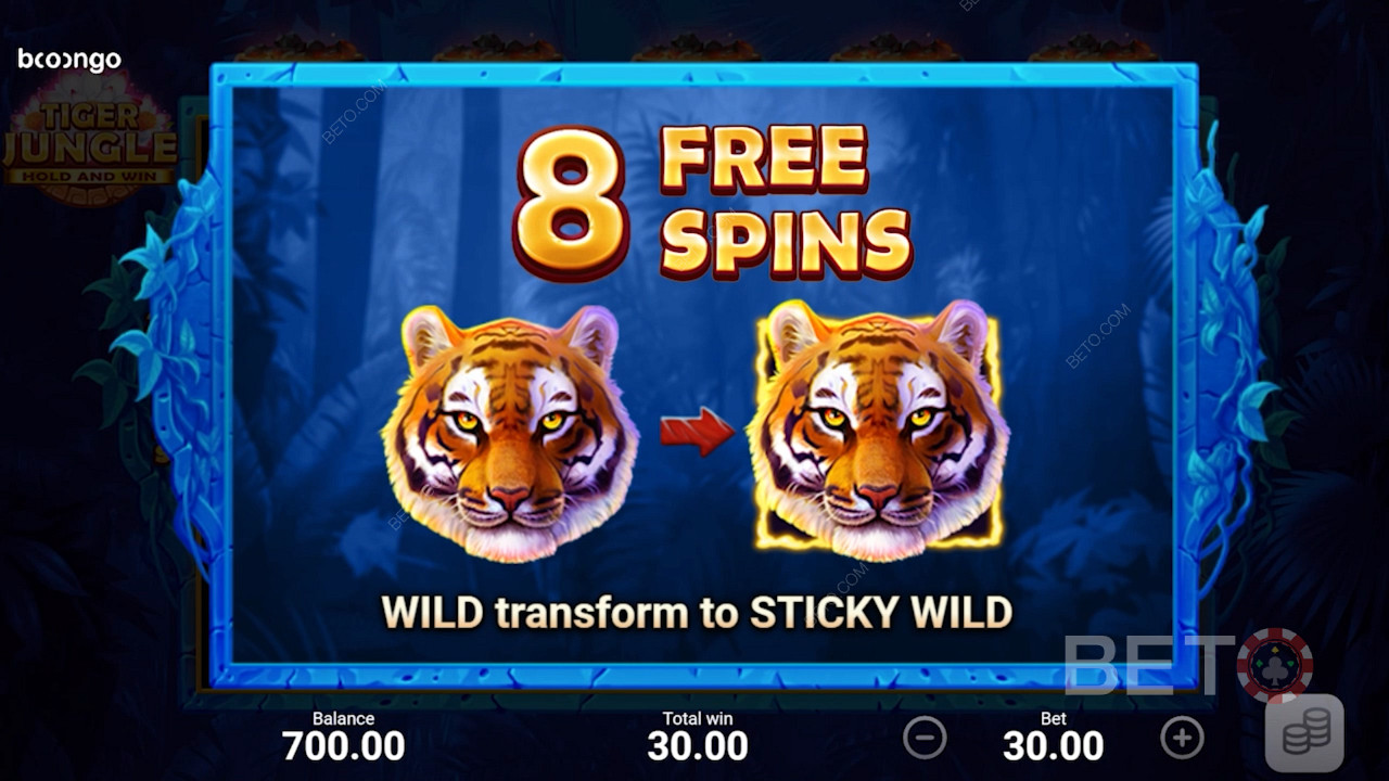 Σας δίνονται 8 Δωρεάν Περιστροφές και όλα τα wild γίνονται Sticky Wilds κατά τη διάρκεια του γύρου των Free Spins
