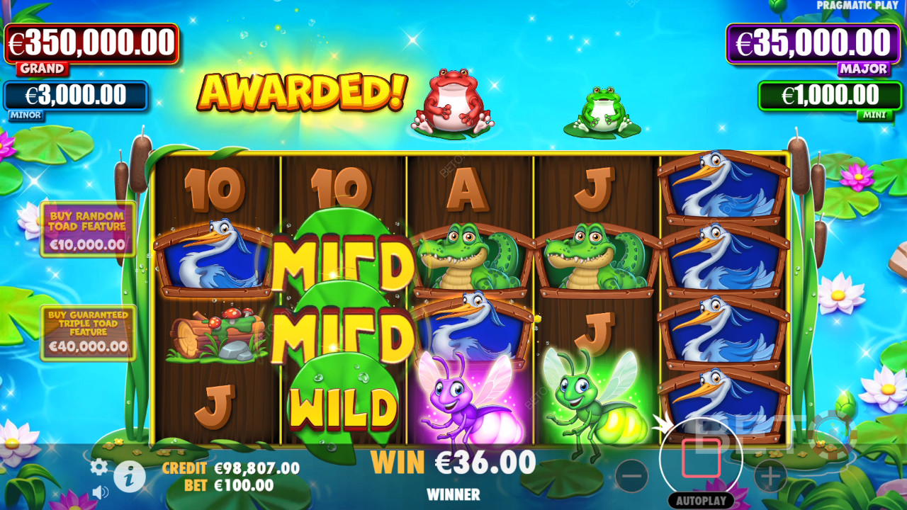 Tiny Toads Ανασκόπηση από BETO Slots