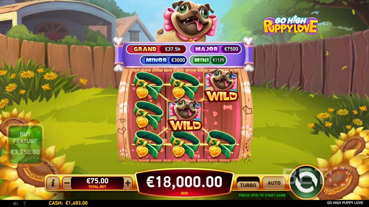 Go High Puppy Love Ανασκόπηση από BETO Slots