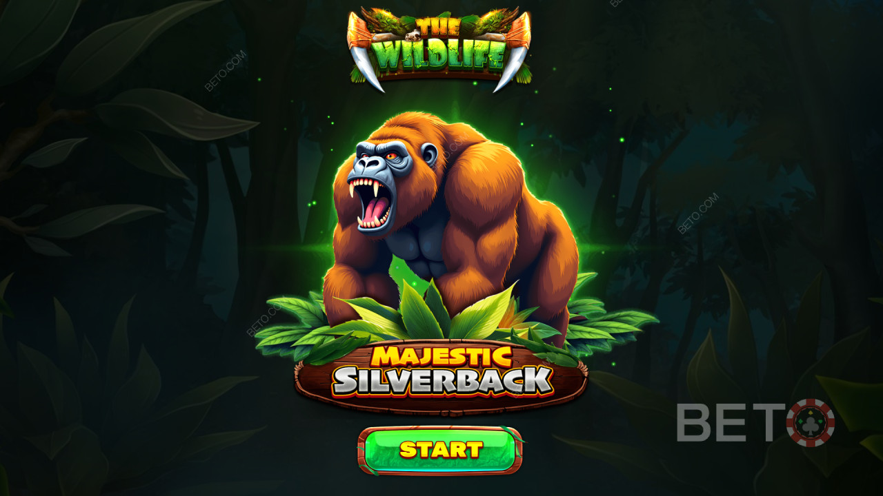 Τα χαρακτηριστικά μπόνους εξηγούνται στο Majestic Silverback από τον Spinomenal