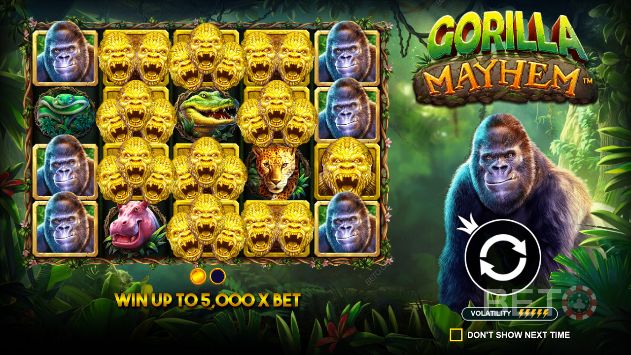 Τα σύμβολα Golden Gorilla παίζουν σημαντικό ρόλο στον κουλοχέρη Gorilla Mayhem.