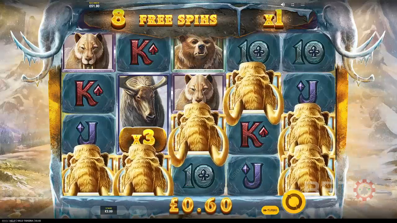 Ανασκόπηση του Wild Tundra από την BETO Slots