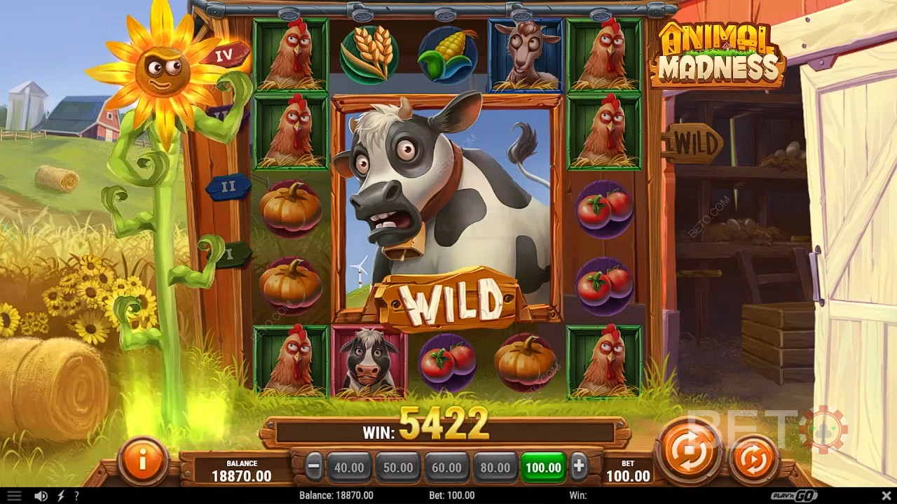 Animal Madness Δωρεάν Παιχνίδι