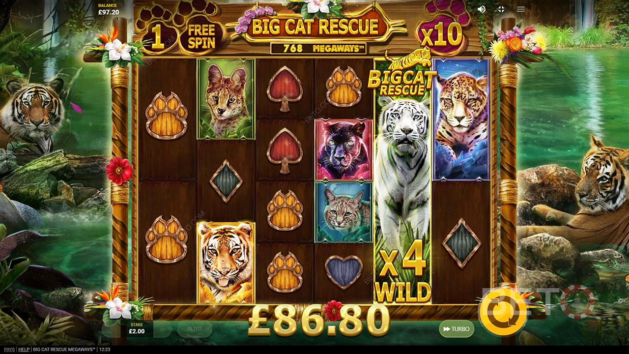 Big Cat Rescue Megaways Ανασκόπηση από BETO Slots