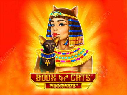 Book of Cats Megaways Δοκιμαστική έκδοση