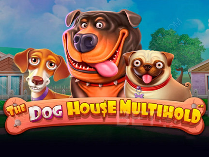 The Dog House Multihold Δοκιμαστική έκδοση