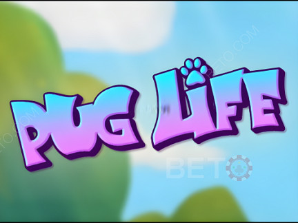 Pug Life Δοκιμαστική έκδοση