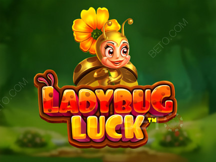 Ladybug Luck  Δοκιμαστική έκδοση
