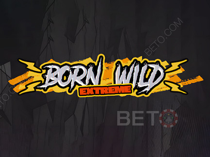 Born Wild Δοκιμαστική έκδοση