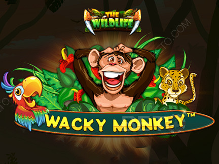 Wacky Monkey Δοκιμαστική έκδοση