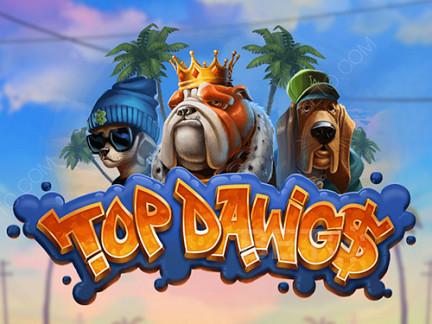 Top Dawgs Δοκιμαστική έκδοση