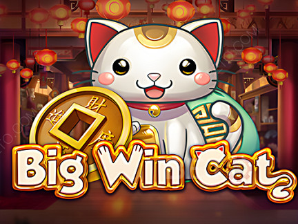 Big Win Cat Δοκιμαστική έκδοση