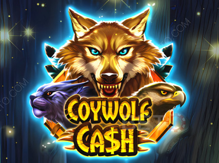 Coywolf Cash Δοκιμαστική έκδοση