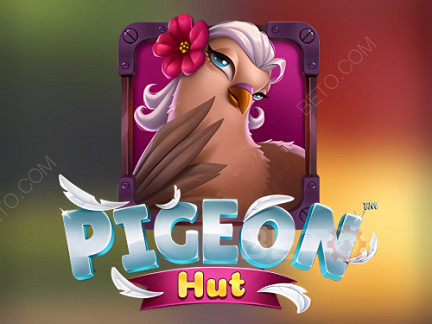 Pigeon Hut Δοκιμαστική έκδοση