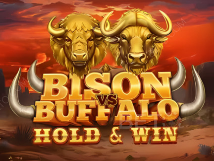 Bison vs Buffalo Δοκιμαστική έκδοση