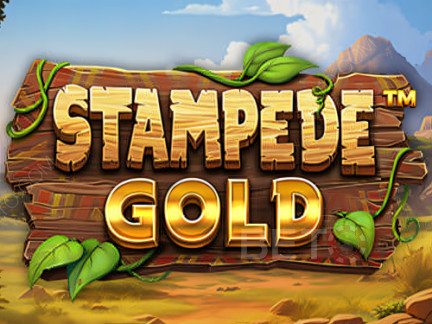 Stampede Gold Δοκιμαστική έκδοση