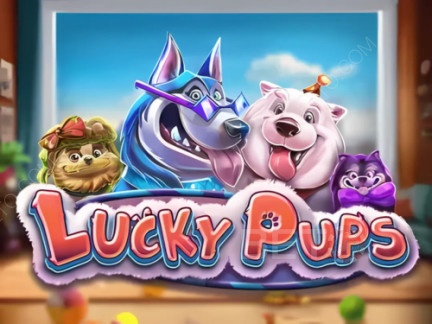 Lucky Pups Δοκιμαστική έκδοση