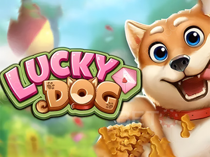 Lucky Dog Δοκιμαστική έκδοση