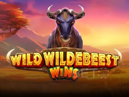 Wild Wildebeest Wins Δοκιμαστική έκδοση