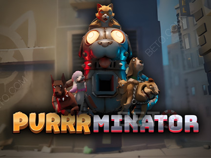Purrrminator Δοκιμαστική έκδοση