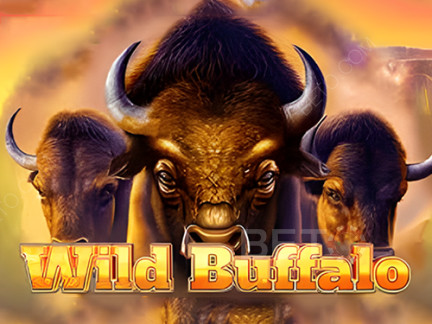 Wild Buffalo Δοκιμαστική έκδοση