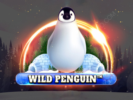 Wild Penguin Δοκιμαστική έκδοση