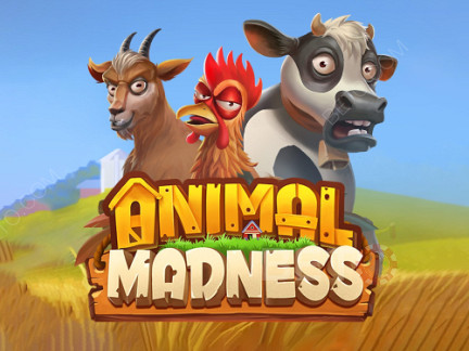 Animal Madness Δοκιμαστική έκδοση