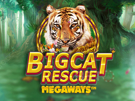 Big Cat Rescue Megaways Δοκιμαστική έκδοση