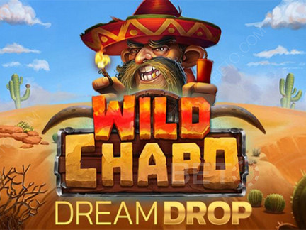 Wild Chapo Dream Drop Δοκιμαστική έκδοση